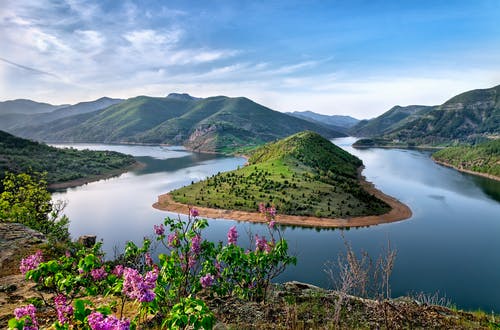 缅甸黑山龟好养吗，怎么养