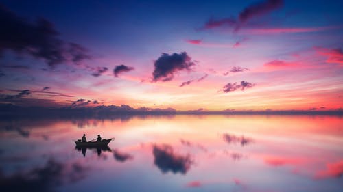 如何给缫丝花浇水