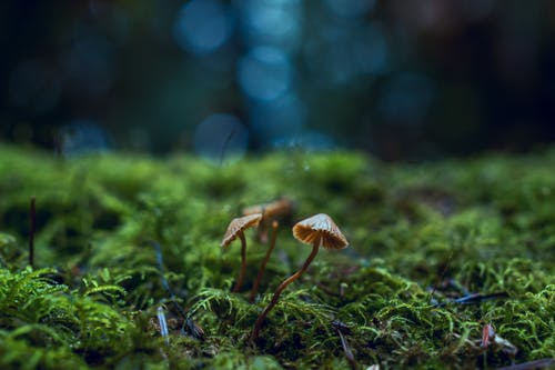 苹果手机录屏功能在哪里