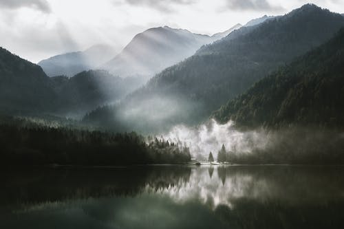 红虫保存温度是多少，能放在家用冰箱里吗