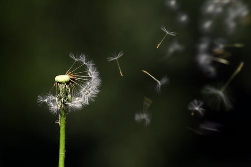 黄金股票怎么买入